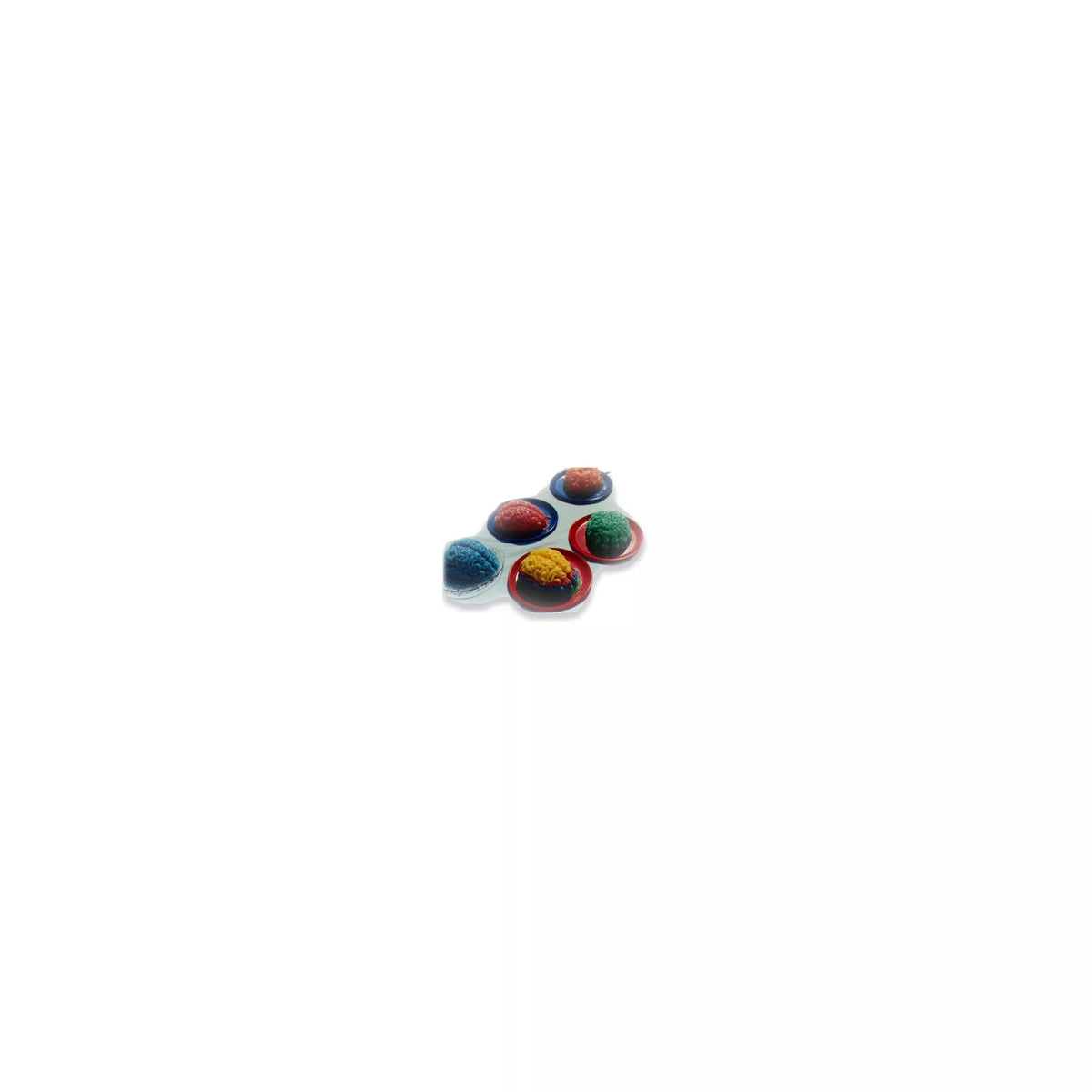 Gelatin Brain Mold
