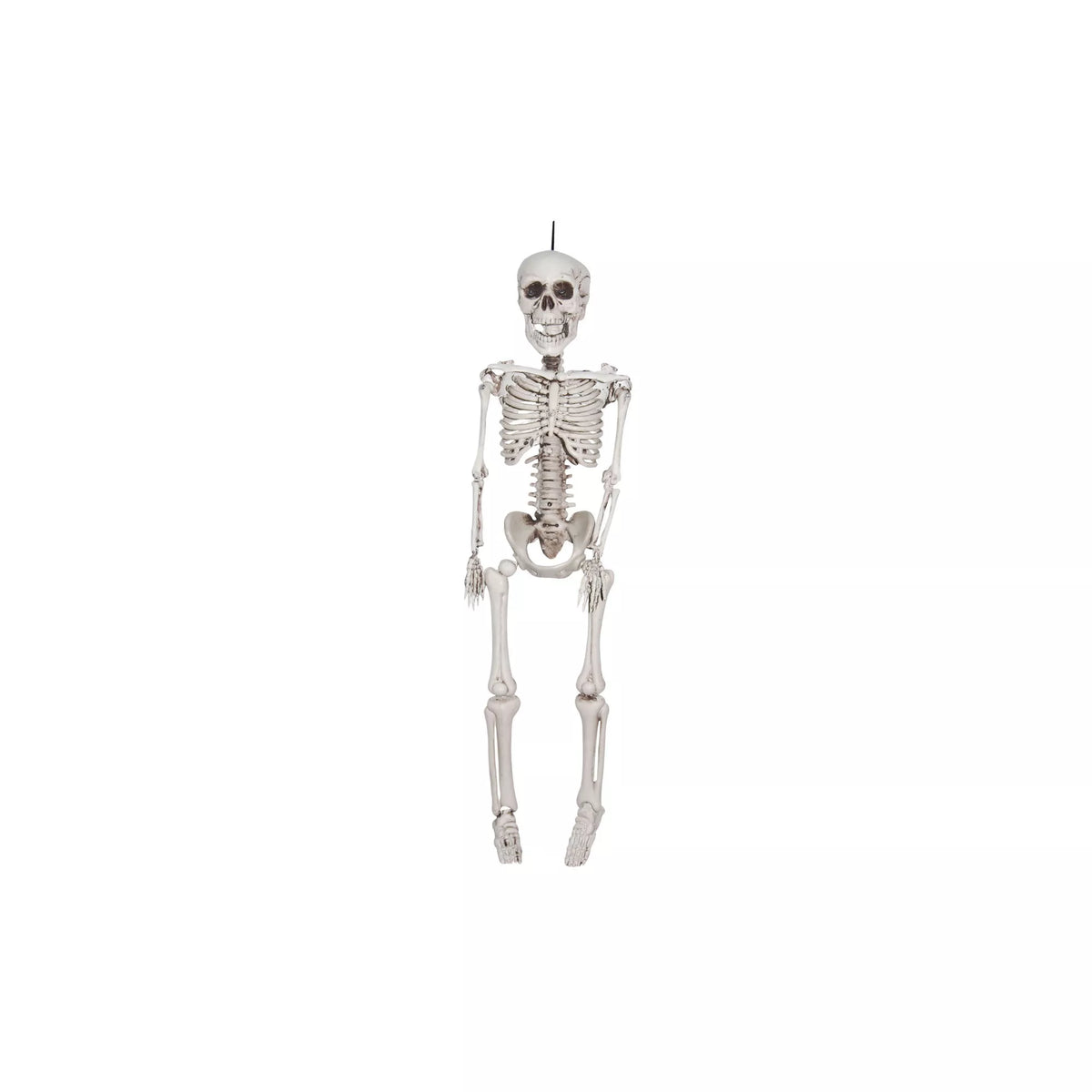 3 Ft Plastic Skeleton