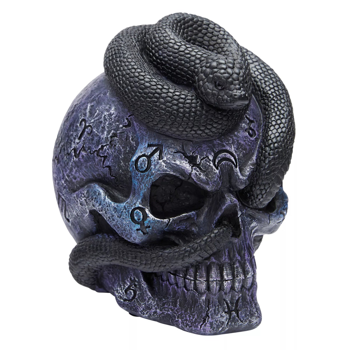 Mystical Arts Snake Skull