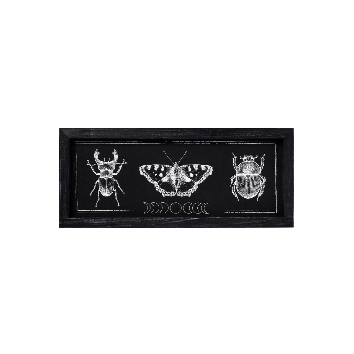 Insect Moon Phase Sign