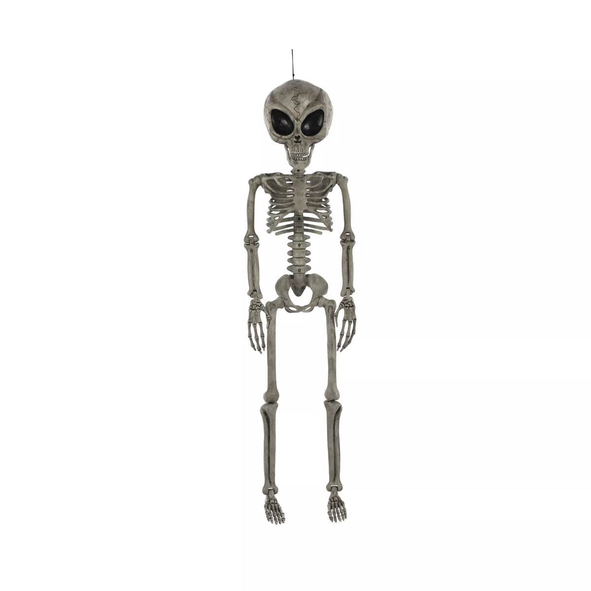 Alien Skeleton - 36 Inches