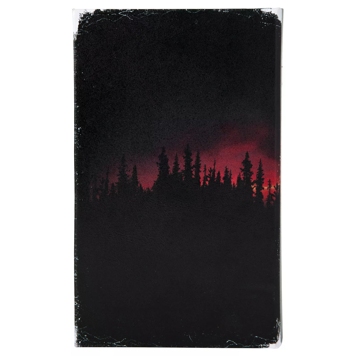 The Cabin Killer Book Box