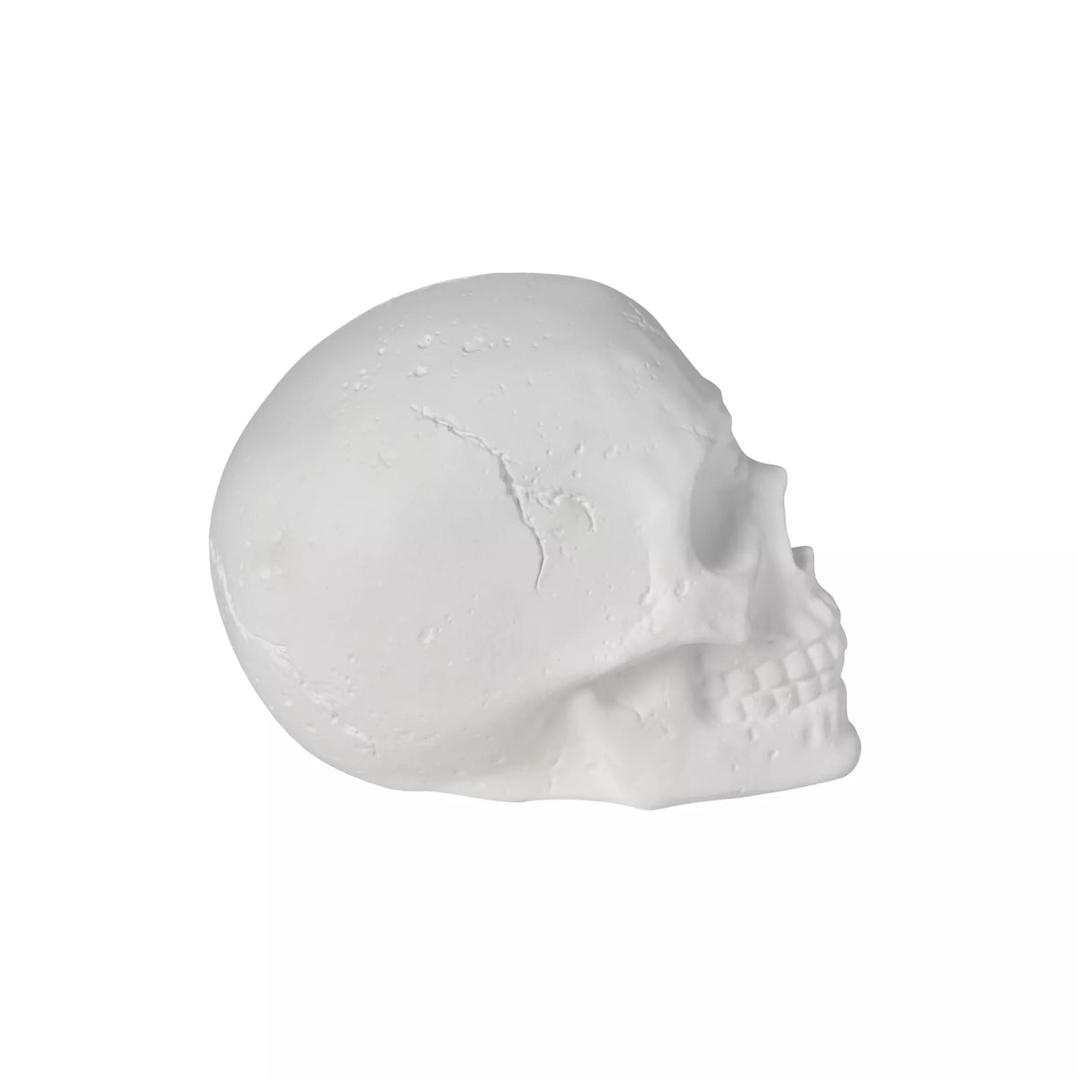 White Skull Tabletop Decoration