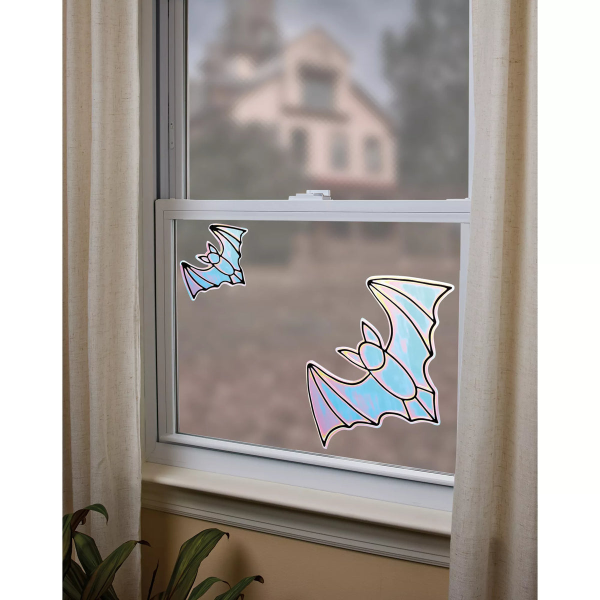 Iridescent Window Bats