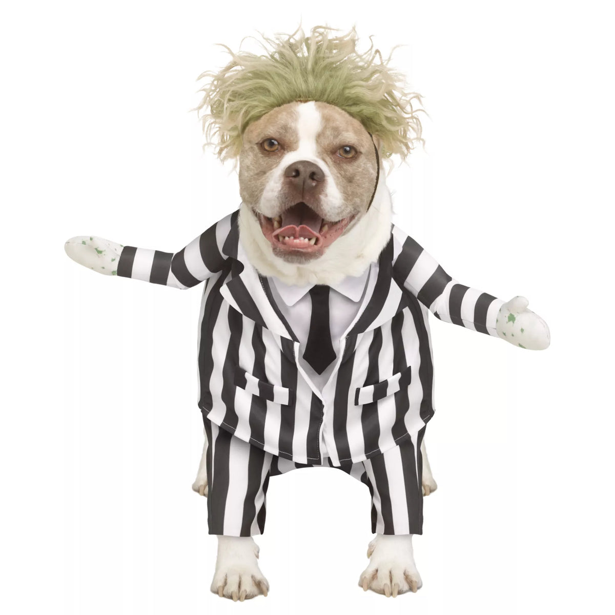 Beetlejuice Pet Costume